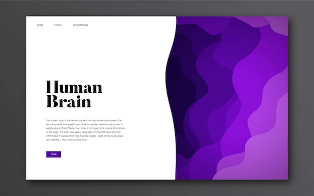 Gráfico del sitio web informativo del cerebro humano