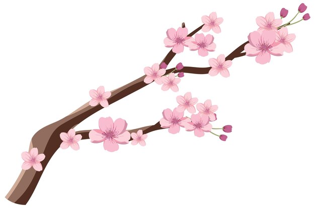 Gráfico vectorial de flor de cerezo japonés