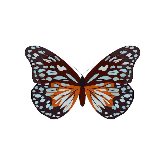 Vector gratuito gran colección de mariposas de colores mariposas aisladas en el vector blanco