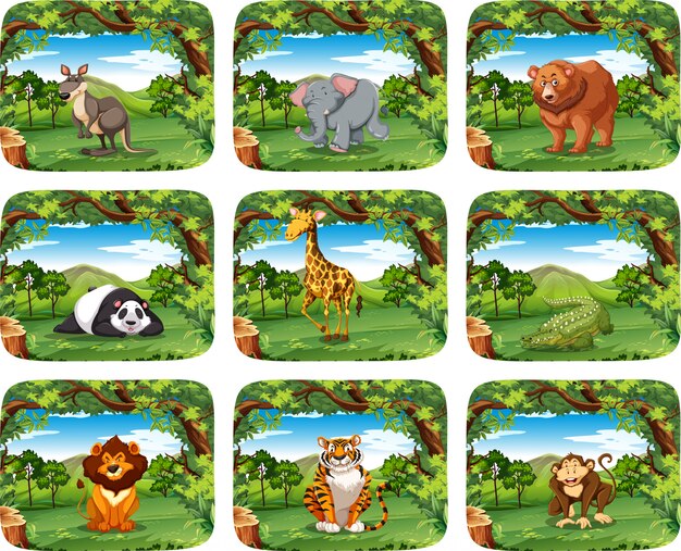 Gran conjunto de animales en escenas.