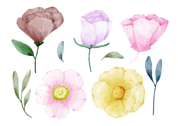 Gran conjunto botánico de flores silvestres Conjunto de piezas separadas y unidas a un hermoso ramo de flores en estilo de colores de agua en la ilustración de vector plano de fondo blanco