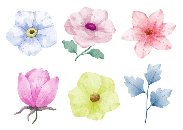 Gran conjunto botánico de flores silvestres Conjunto de piezas separadas y unidas a un hermoso ramo de flores en estilo de colores de agua en la ilustración de vector plano de fondo blanco