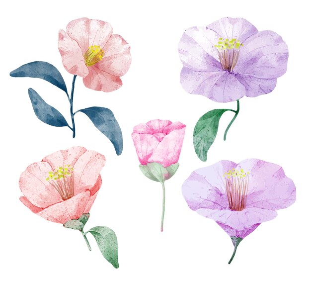 Gran conjunto botánico de flores silvestres Conjunto de piezas separadas y unidas a un hermoso ramo de flores en estilo de colores de agua en la ilustración de vector plano de fondo blanco