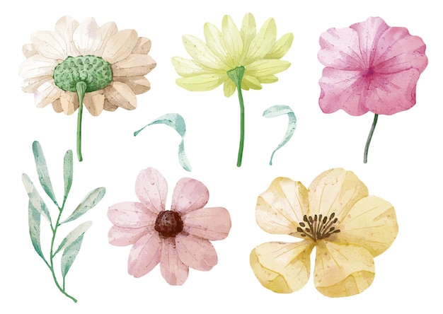 Gran conjunto botánico de flores silvestres Conjunto de piezas separadas y unidas a un hermoso ramo de flores en estilo de colores de agua en la ilustración de vector plano de fondo blanco