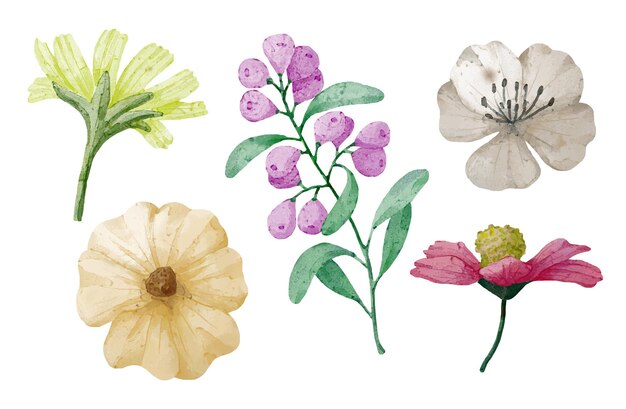 Gran conjunto botánico de flores silvestres Conjunto de piezas separadas y unidas a un hermoso ramo de flores en estilo de colores de agua en la ilustración de vector plano de fondo blanco