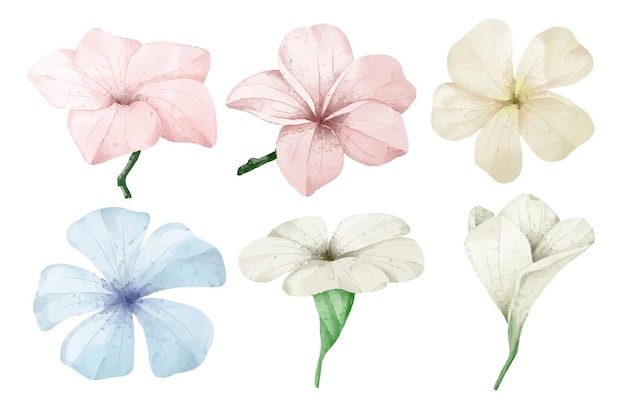 Vector gratuito gran conjunto botánico de flores silvestres conjunto de piezas separadas y unidas a un hermoso ramo de flores en estilo de colores de agua en la ilustración de vector plano de fondo blanco