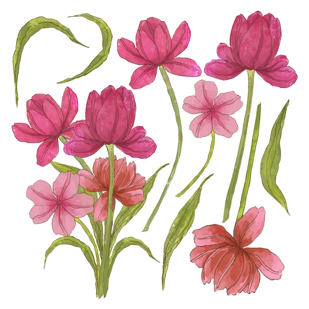 Vector gratuito gran conjunto botánico de flores silvestres conjunto de piezas separadas y unidas a un hermoso ramo de flores en estilo de colores de agua en la ilustración de vector plano de fondo blanco