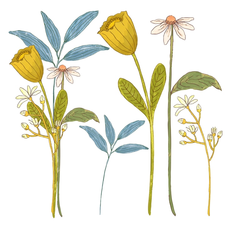 Vector gratuito gran conjunto botánico de flores silvestres conjunto de piezas separadas y unidas a un hermoso ramo de flores en estilo de colores de agua en la ilustración de vector plano de fondo blanco