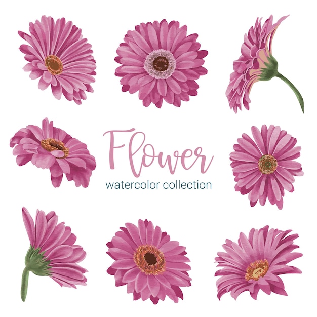 Vector gratuito gran conjunto botánico de flores silvestres conjunto de piezas separadas y unidas a un hermoso ramo de flores en estilo de colores de agua en la ilustración de vector plano de fondo blanco