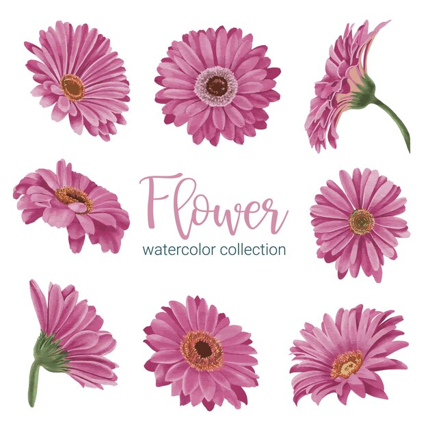 Gran conjunto botánico de flores silvestres Conjunto de piezas separadas y unidas a un hermoso ramo de flores en estilo de colores de agua en la ilustración de vector plano de fondo blanco