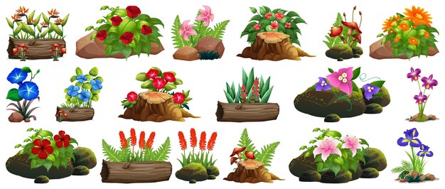 Gran conjunto de flores de colores sobre rocas y madera.