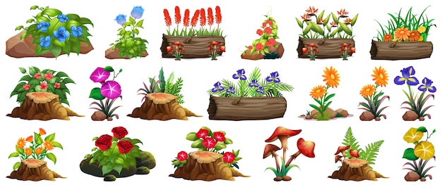 Gran conjunto de flores de colores sobre rocas y madera.