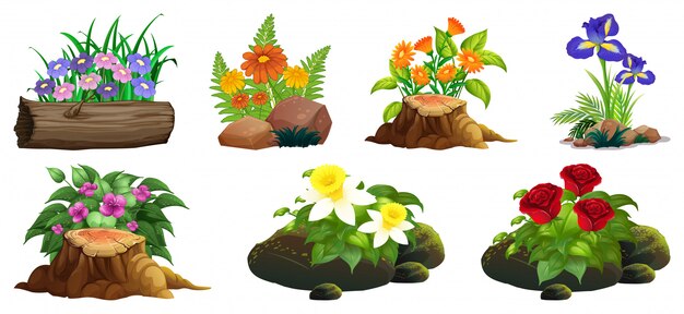 Gran conjunto de flores de colores sobre rocas y madera.