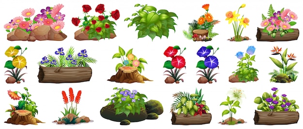 Gran conjunto de flores de colores sobre rocas y madera.