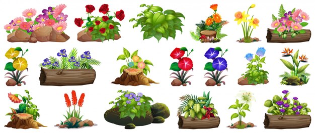 Gran conjunto de flores de colores sobre rocas y madera.