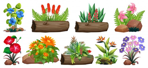 Gran conjunto de flores de colores sobre rocas y madera.