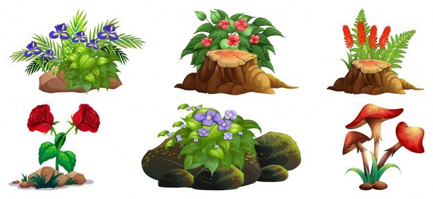 Gran conjunto de flores de colores sobre rocas y madera.