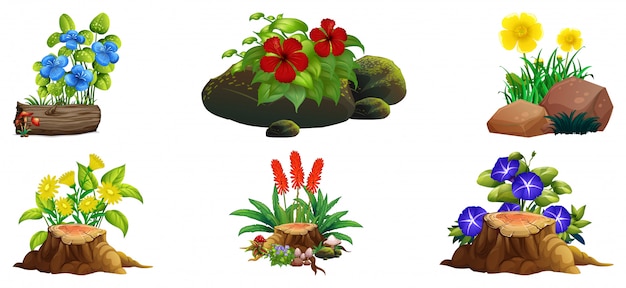 Gran conjunto de flores de colores sobre rocas y madera.