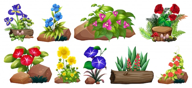 Vector gratuito gran conjunto de flores de colores sobre rocas y madera.