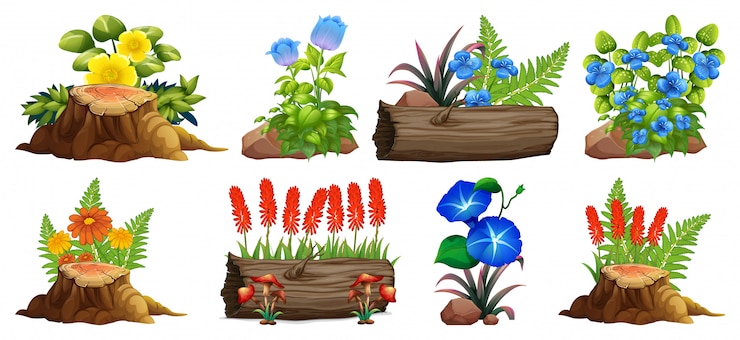 Vector gratuito gran conjunto de flores de colores sobre rocas y madera
