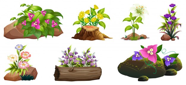 Gran conjunto de flores de colores sobre rocas y madera.
