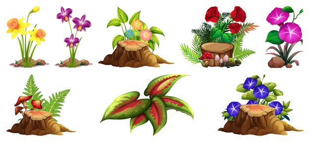 Gran conjunto de flores de colores sobre rocas y madera.