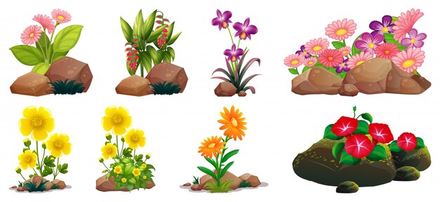 Gran conjunto de flores de colores sobre rocas y madera.
