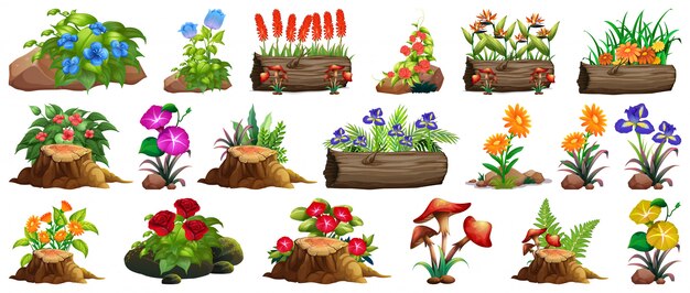 Un gran conjunto de flores coloridas en rocas y madera
