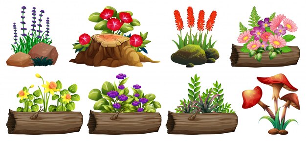 Un gran conjunto de flores coloridas en rocas y madera