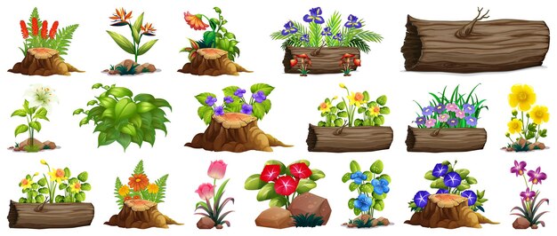 Un gran conjunto de flores coloridas en rocas y madera