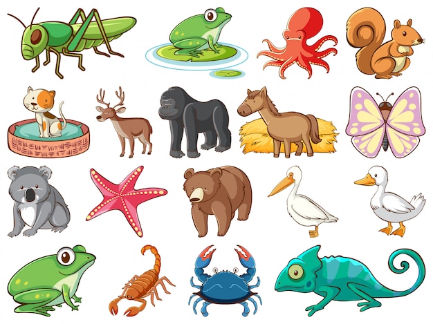 Vector gratuito gran conjunto de vida silvestre con muchos tipos de animales.