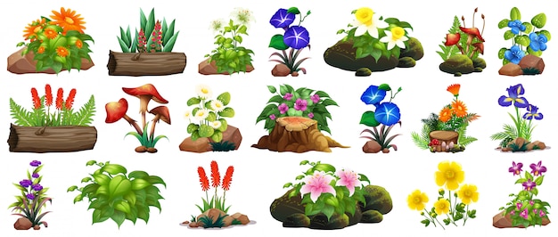 Vector gratuito gran et de coloridas flores sobre rocas y madera