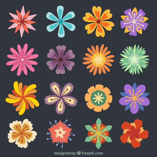 Gran variedad de flores vintage 
