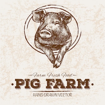 Imagenes De Cerdo Vectores Fotos De Stock Y Psd Gratuitos Imagenes De Cerdo Vectores Fotos De Stock Y Psd Gratuitos
