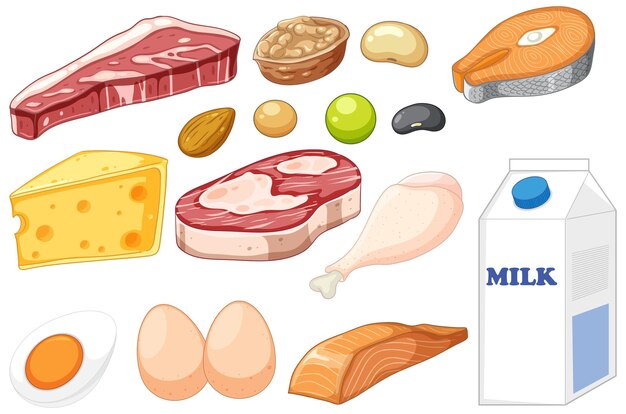 Grupo de alimentos proteicos