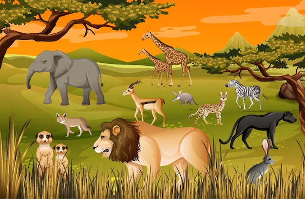 Grupo de animales salvajes africanos en la escena del bosque.