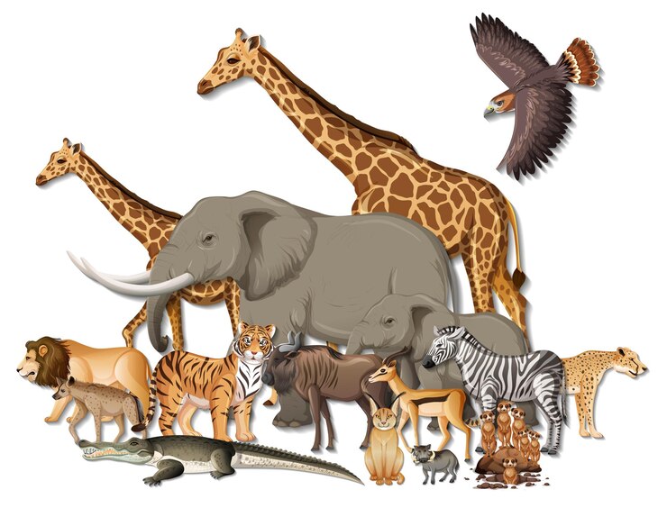 Vector gratuito grupo de animales salvajes africanos sobre fondo blanco.