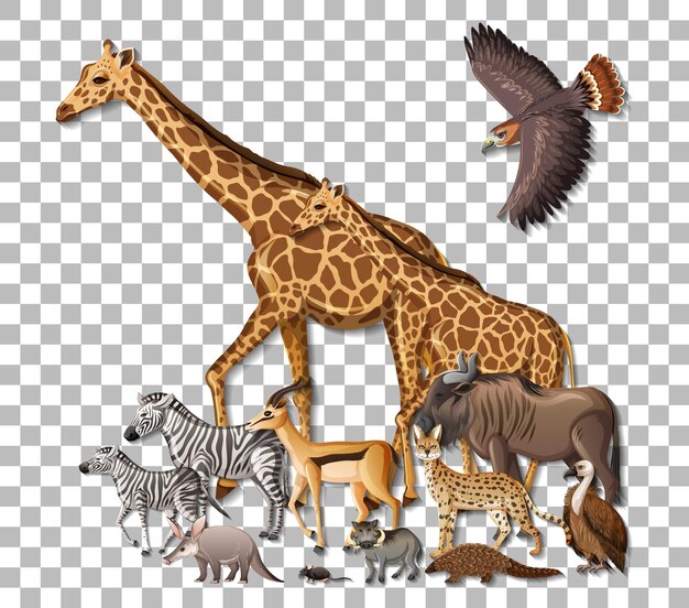 Grupo de animales salvajes africanos sobre fondo transparente