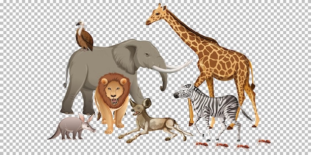 Vector gratuito grupo de animales salvajes africanos sobre fondo transparente