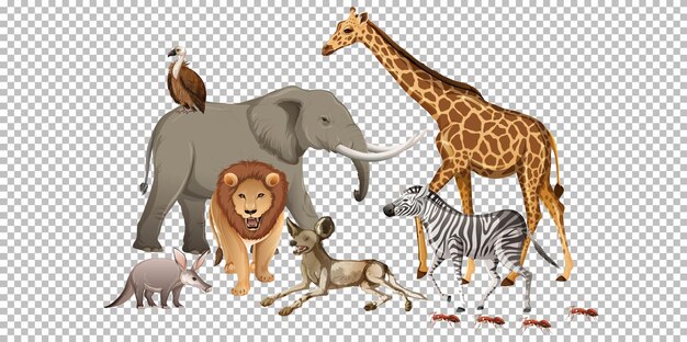 Grupo de animales salvajes africanos sobre fondo transparente