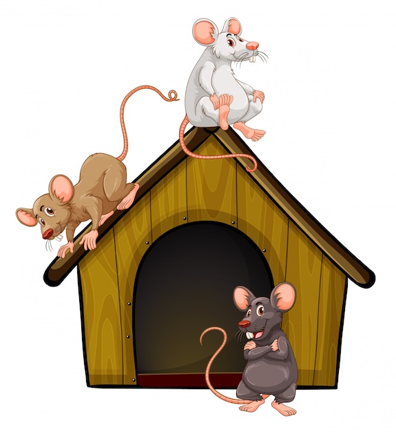 Vector gratuito grupo de lindos ratones con casita aislado sobre fondo blanco.