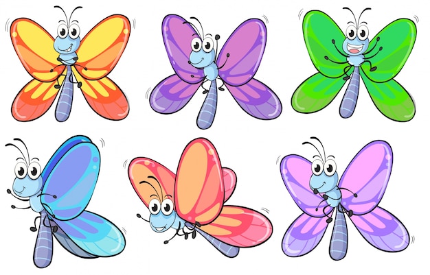 Un grupo de mariposas coloridas