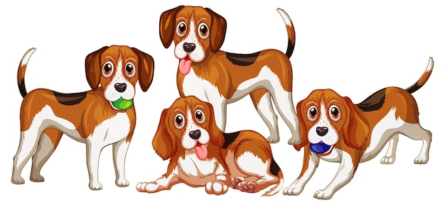 Vector gratuito grupo de perros beagle sobre fondo blanco.