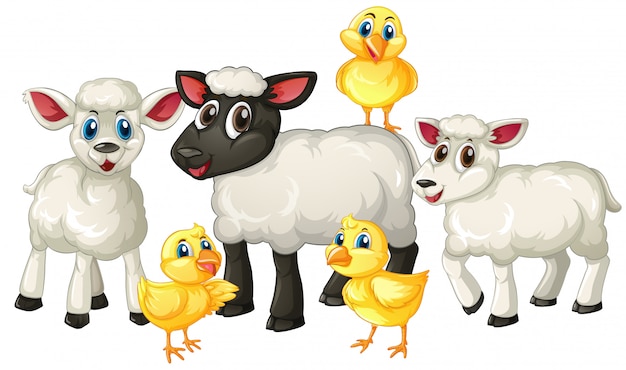 Grupo de personaje de dibujos animados de granja animal lindo aislado