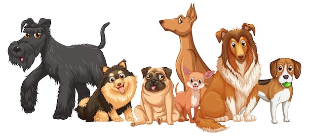 Vector gratuito grupo de razas de perros sobre fondo blanco.