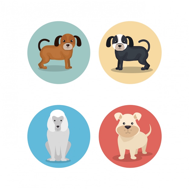 Vector gratuito grupo de razas de perros