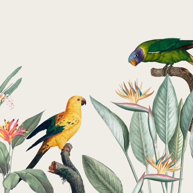 Guacamayo tropical ilustración