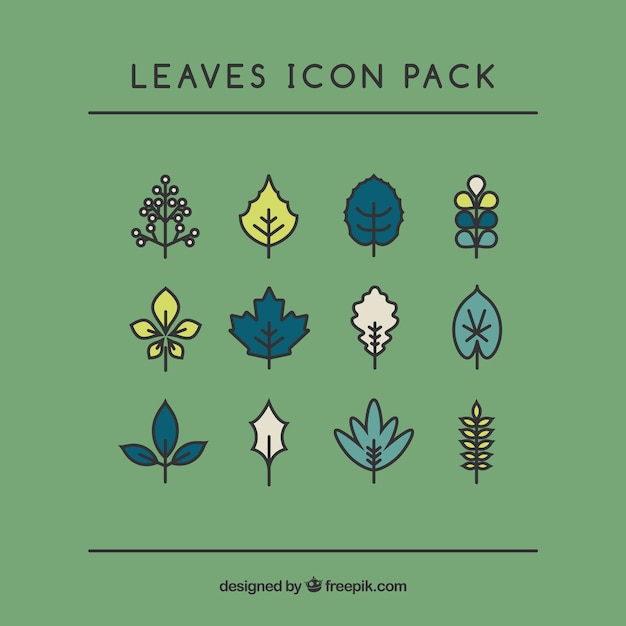 Handrawn hojas paquete
