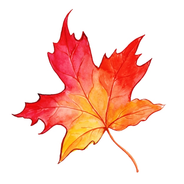 Vector gratuito hermosa acuarela autumn leaf