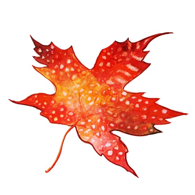 Hermosa acuarela Autumn Leaf